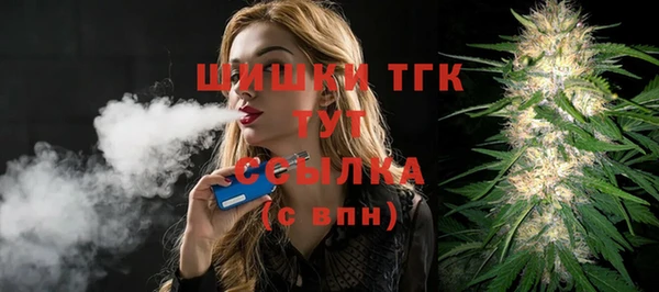 гидра Кинешма